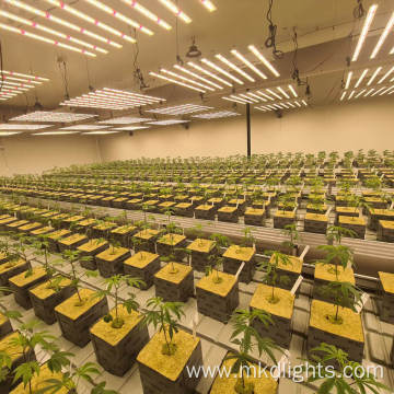 Led Grow Lights Indoor Full Spectrum Plants